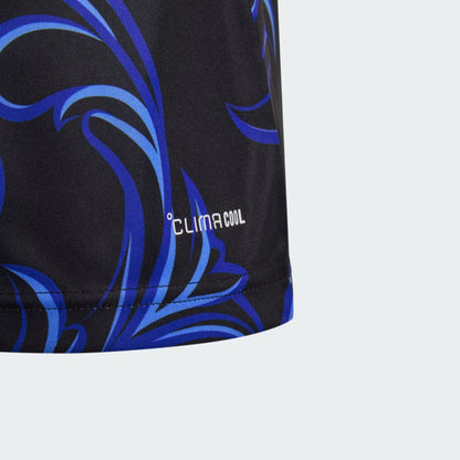 Argentina FIFA World Cup 2026 AWAY Jersey S-3XL | Short Sleeves