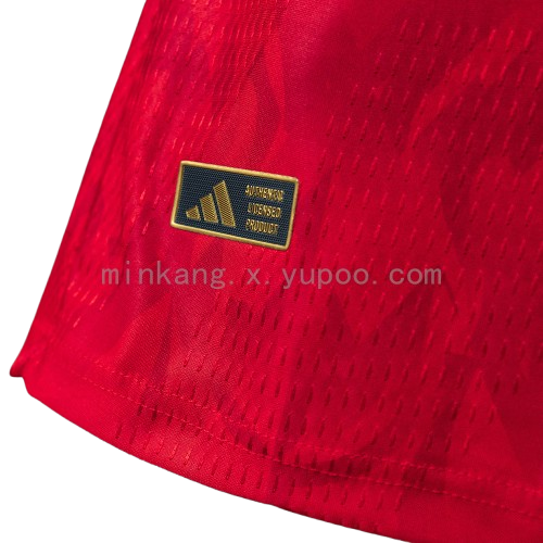 Belgium FIFA World Cup 2026 Home Player Version Jersey S-3XL | Short Sleeves